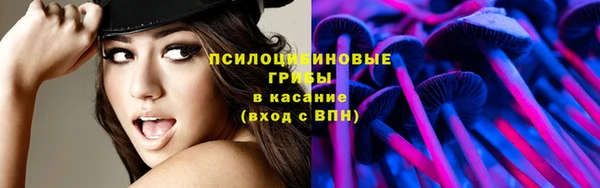 каннабис Богородицк