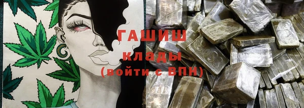 PSILOCYBIN Богданович