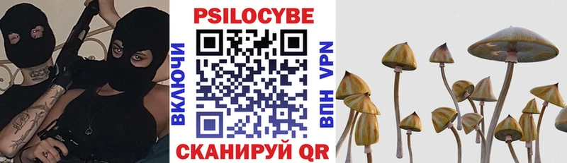 дарнет шоп  Неман  Псилоцибиновые грибы ЛСД 