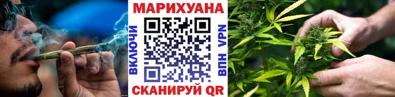 Бошки Шишки планчик  Неман 